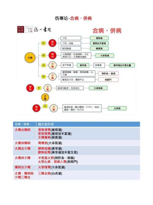 中医辩证方法的多样性