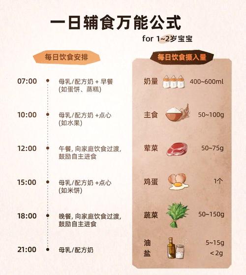 1岁宝宝一天饮食时间