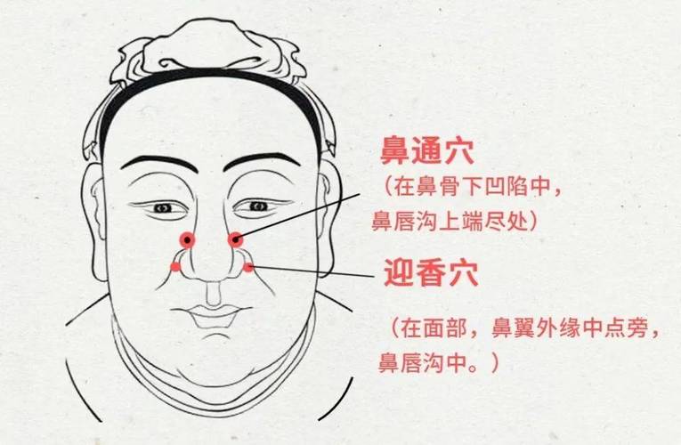 鼻炎鼻子不通按摩穴位