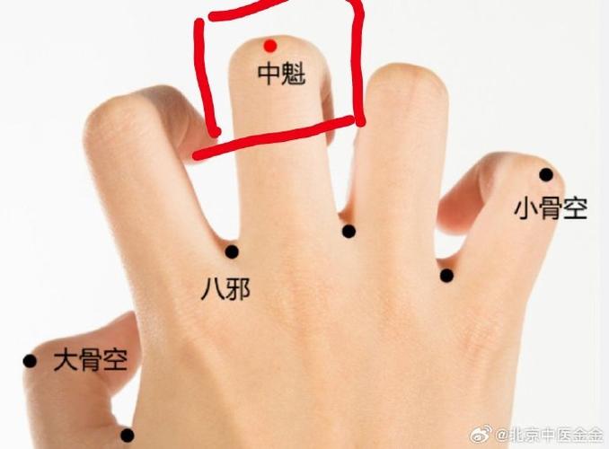 胃肠感冒针刺什么穴位