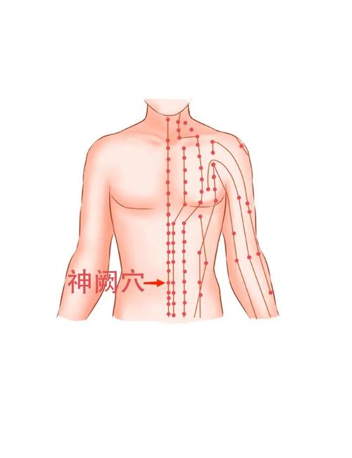 胃肠感冒针刺什么穴位