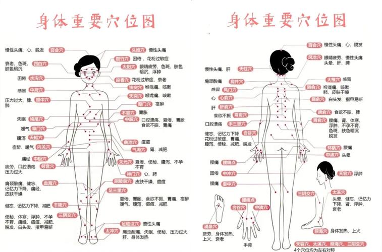 怎样准确找准人体穴位