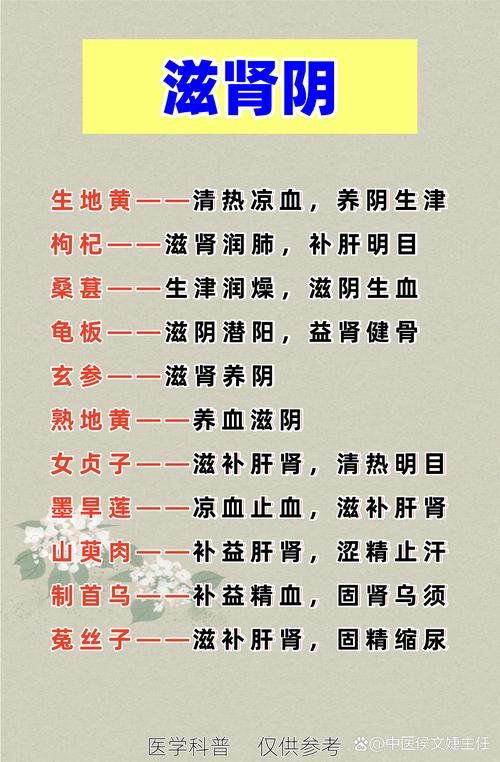 中医所说的肾是指什么