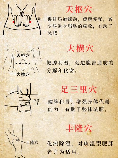 那些穴位艾灸可以减肥