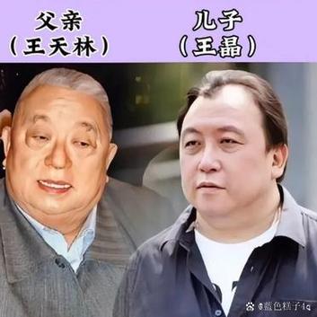 汤氏中医三兄弟哪位强