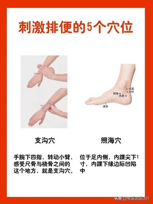 肚脐排便穴位治疗便秘