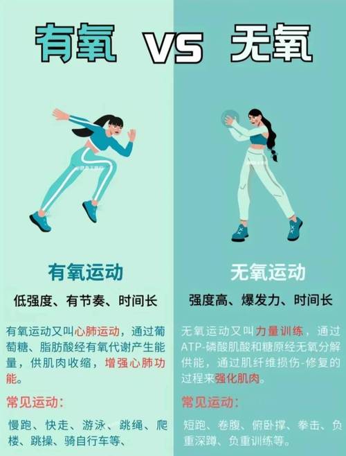 新陈代谢 减肥 穴位