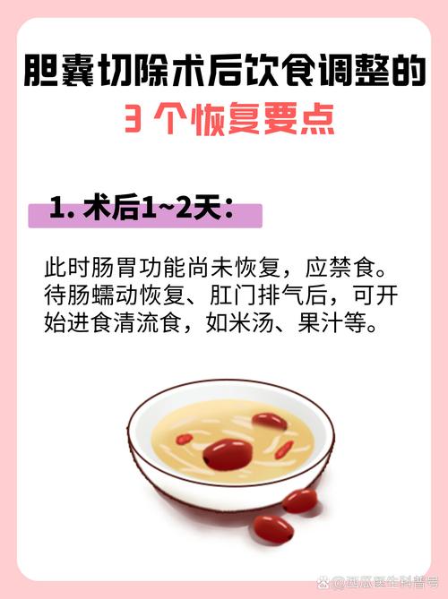 切除胆后饮食注意事项