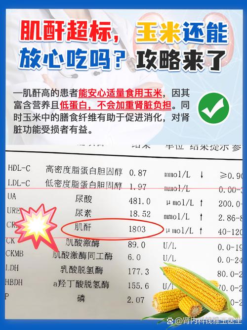 肌酐高该注意什么饮食