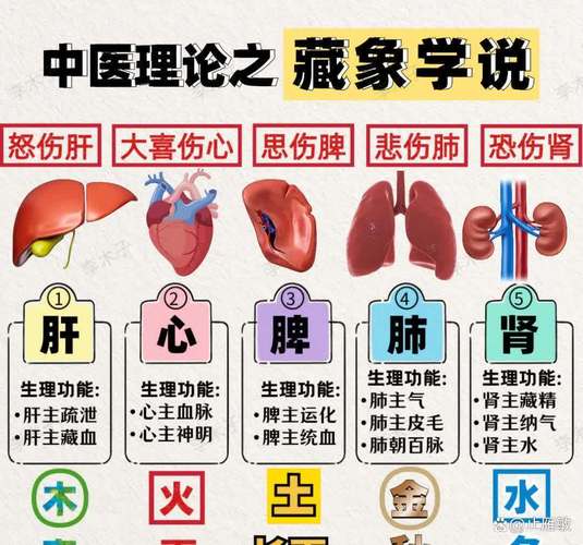中医养生学的基本理论