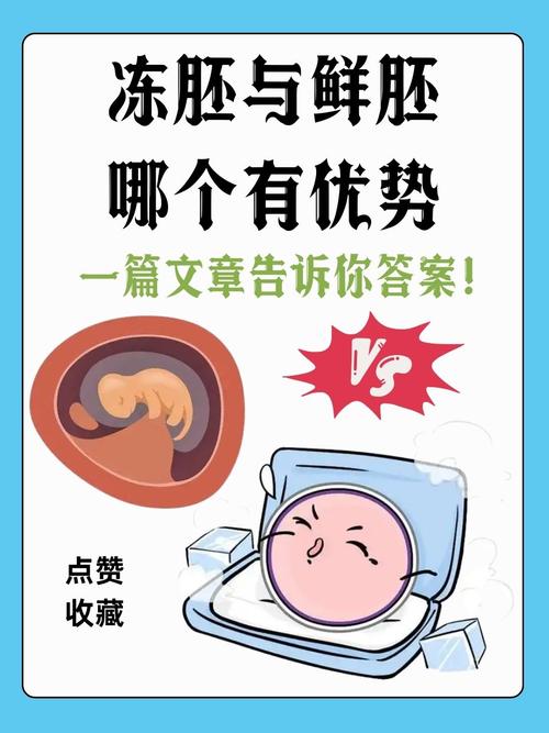 冻胚移植后的饮食禁忌