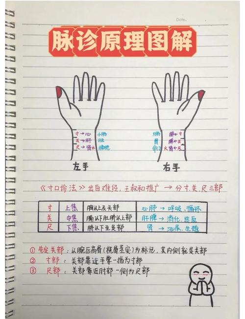 中医把脉看性别的原理