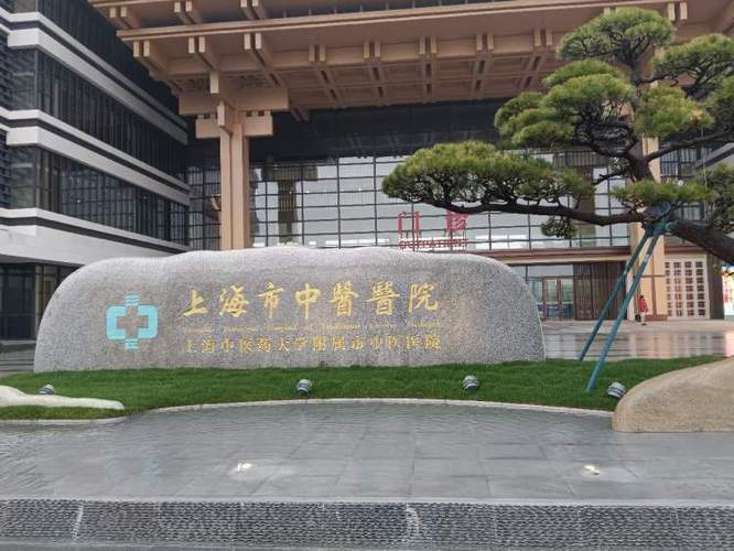 上海哪家医院看中医好