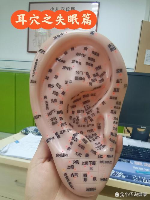 耳聋用穴位贴什么穴位