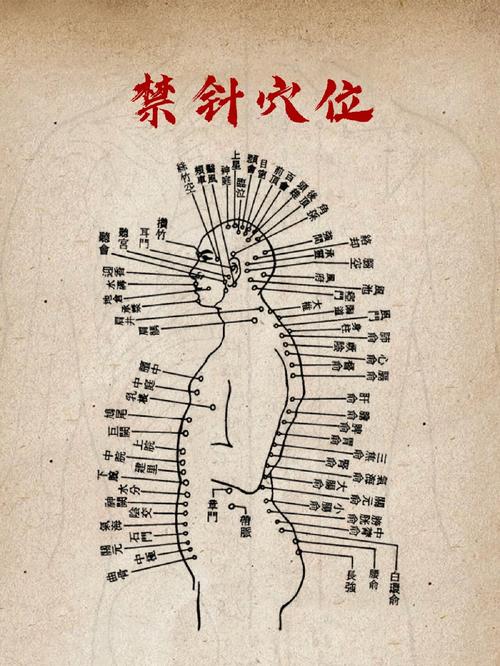 针灸穴位和推拿穴位图