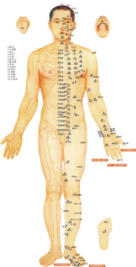 全身穴位经络和穴位图