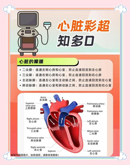 心脏瓣膜中医如何治疗