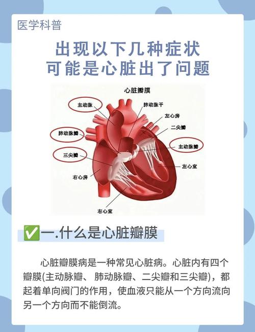 心脏瓣膜中医如何治疗