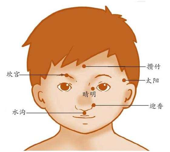 小儿推拿面部穴位图片