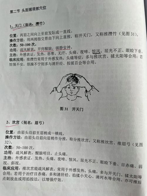 小儿推拿面部穴位图片