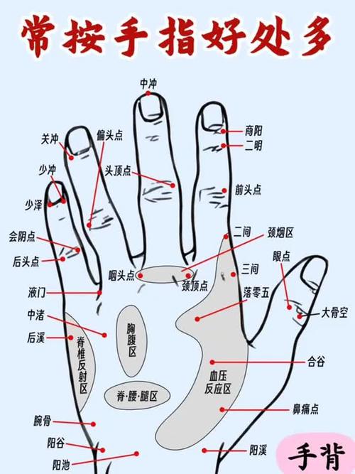 手小指外侧是什么穴位