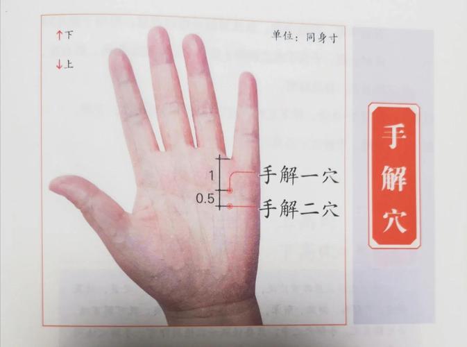 手小指外侧是什么穴位