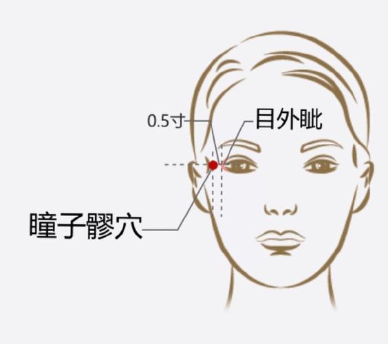 眼睛下面鼻子旁边穴位