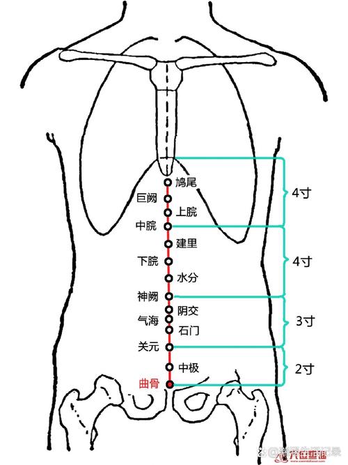 治疗前列腺增生的穴位
