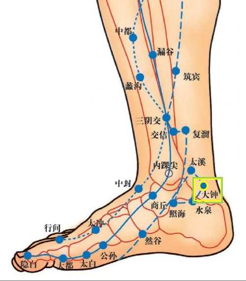 治疗前列腺增生的穴位
