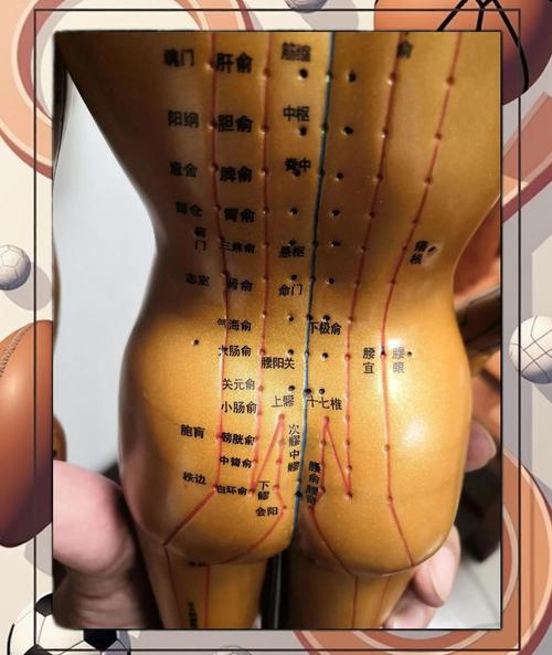 坐骨神经痛拔罐穴位图