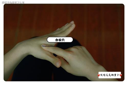 治疗内分泌失调的穴位