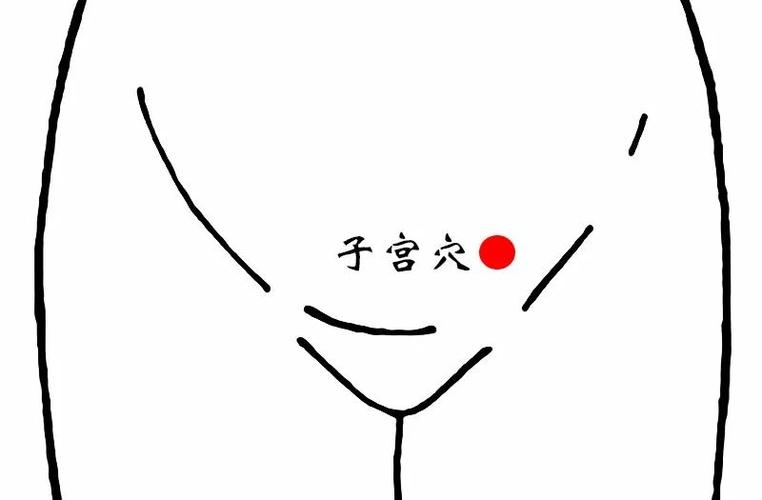 治疗内分泌失调的穴位