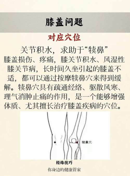 膝盖风湿痛拔火罐穴位