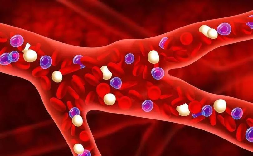 中医师评论任之堂余浩