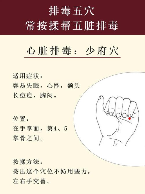 去豆豆按什么穴位排毒