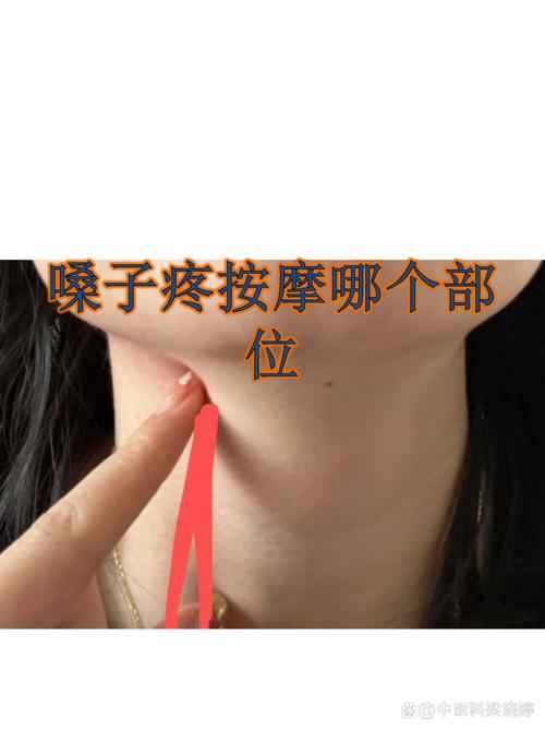 扁桃体发炎按那个穴位