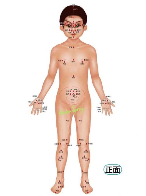 实用小儿推拿穴位图卡