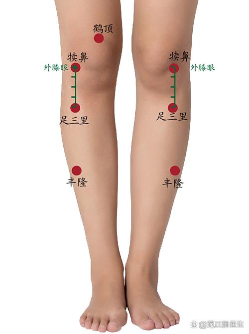 腿疼用艾灸灸哪个穴位