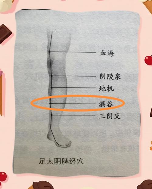 腿疼用艾灸灸哪个穴位