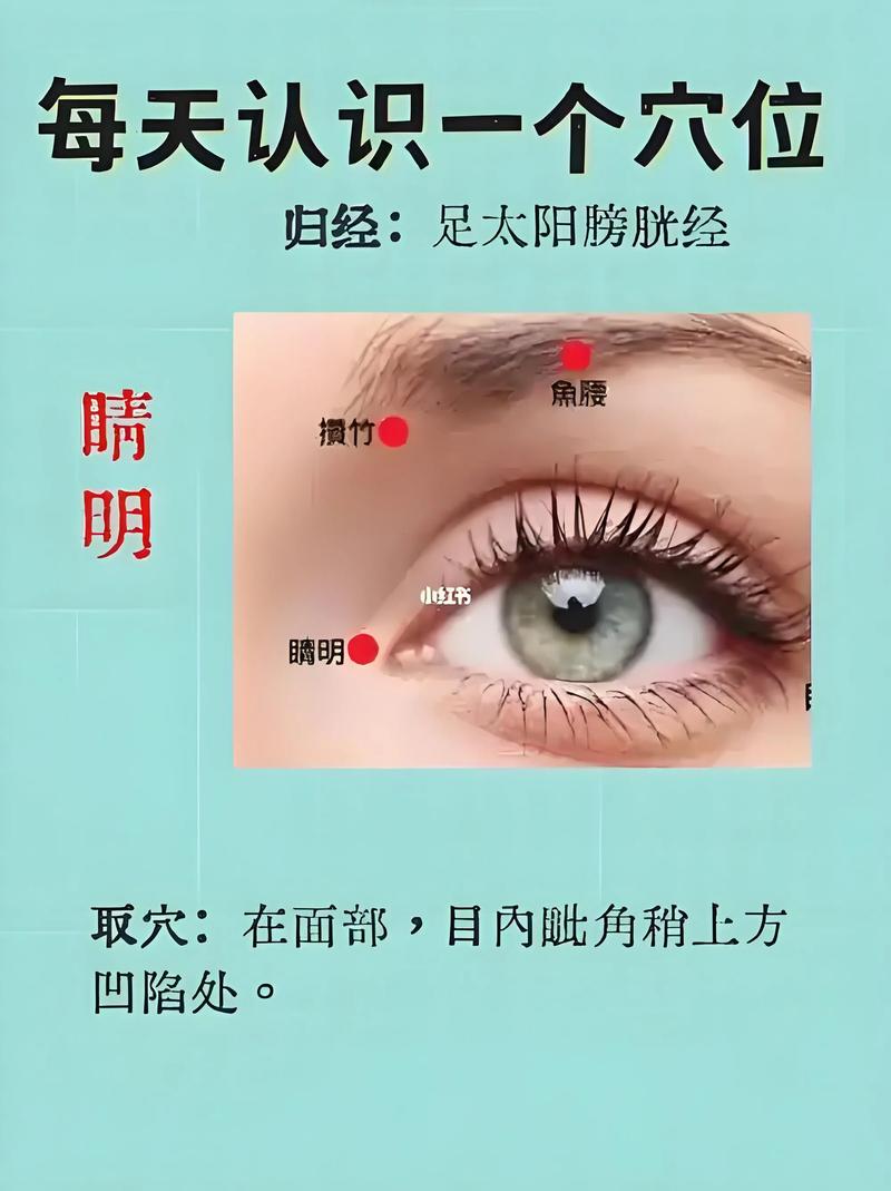 光明穴位位置图和作用