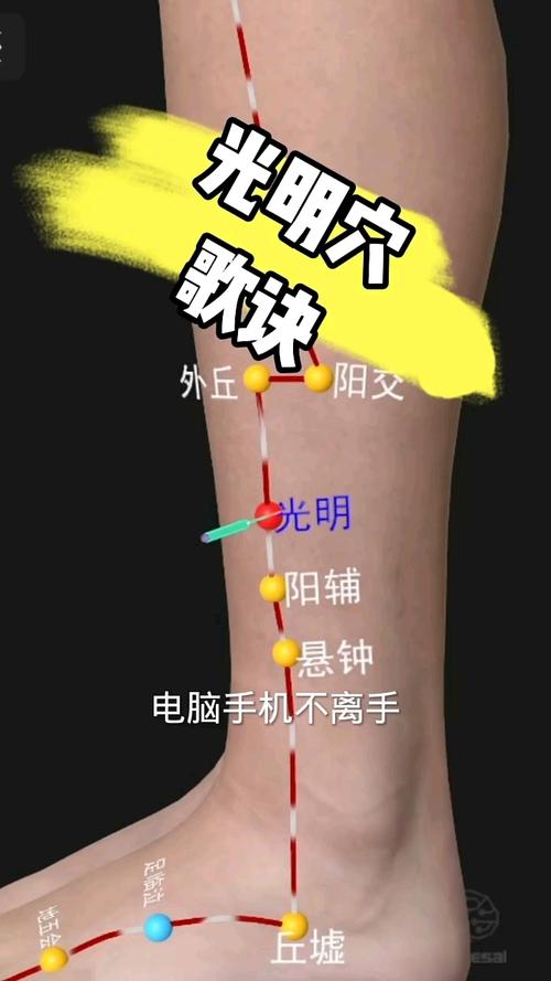 光明穴位位置图和作用