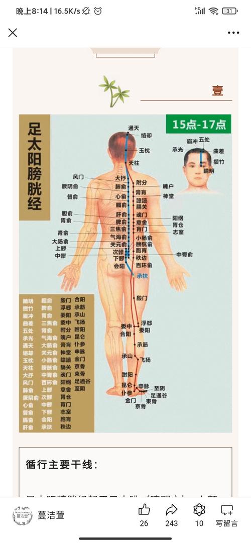 膀胱经上有多少个穴位