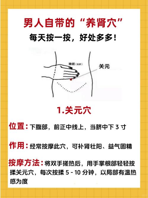 增强性功能壮阳的穴位