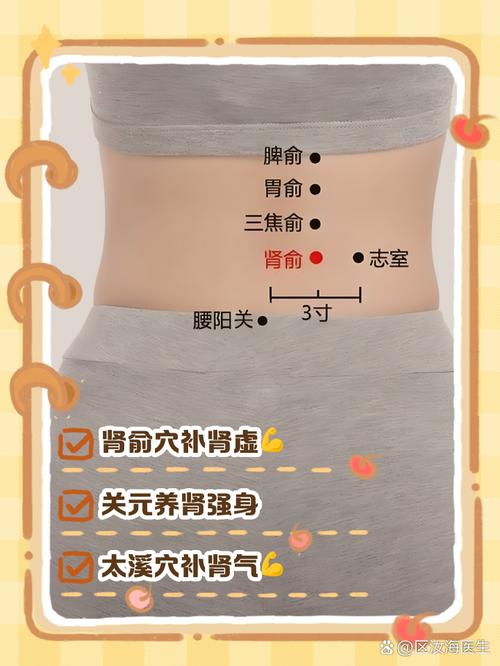 增强性功能壮阳的穴位