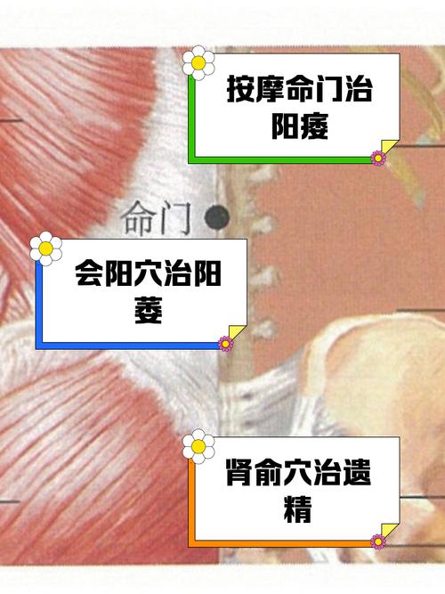 增强性功能壮阳的穴位