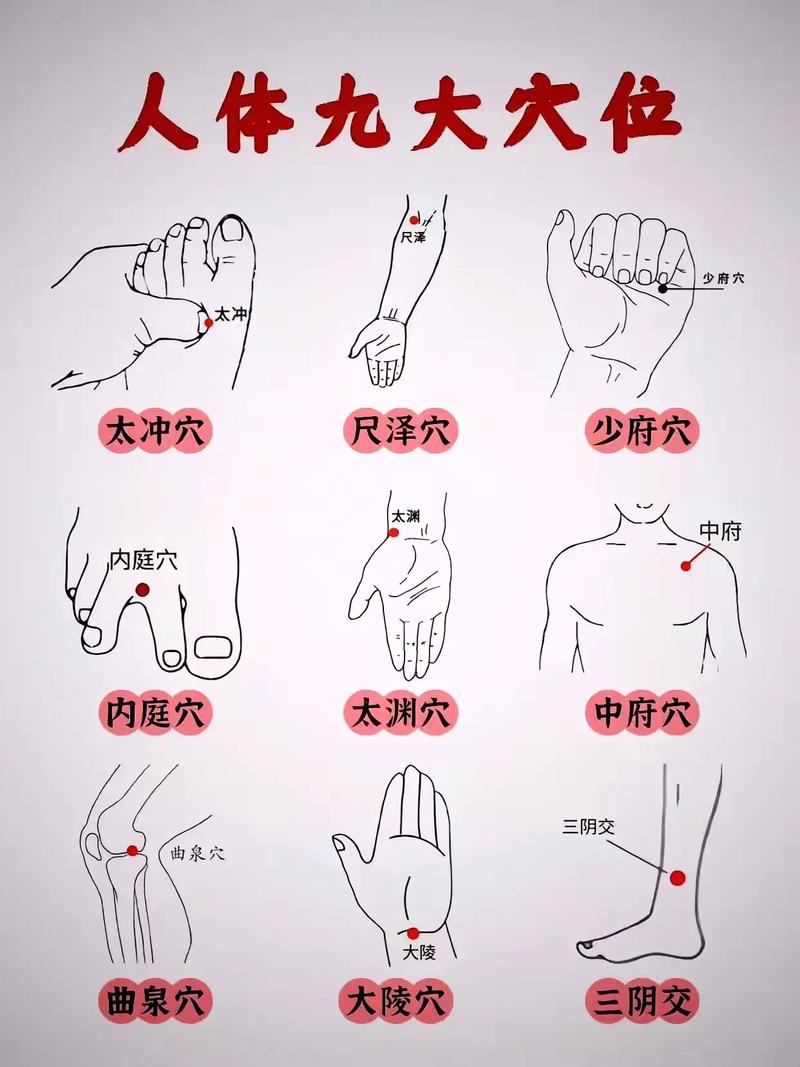 健康之路向穴位要健康