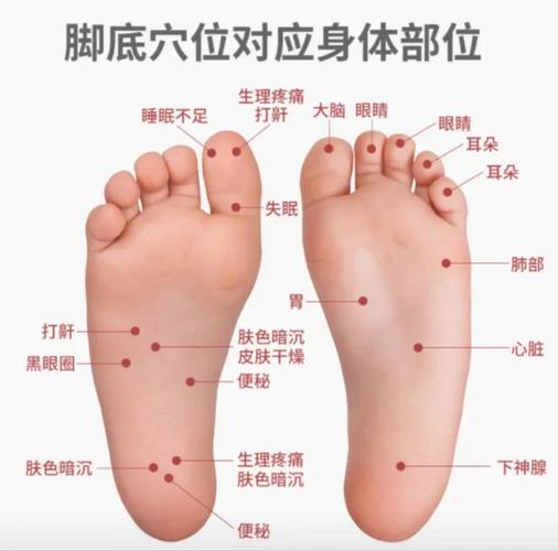 足底按摩穴位图及手法