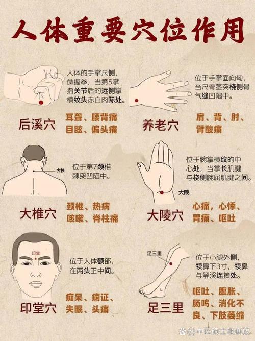 图解穴位保健按摩大全