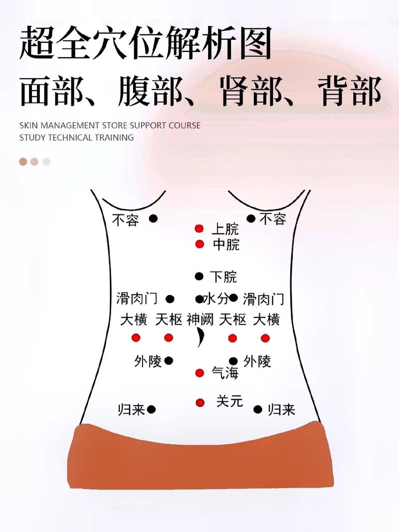 女性经络穴位高清图册