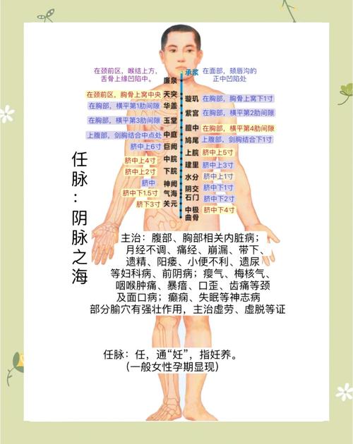 女性经络穴位高清图册